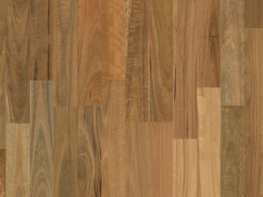 Matt Brushed Spotted Gum