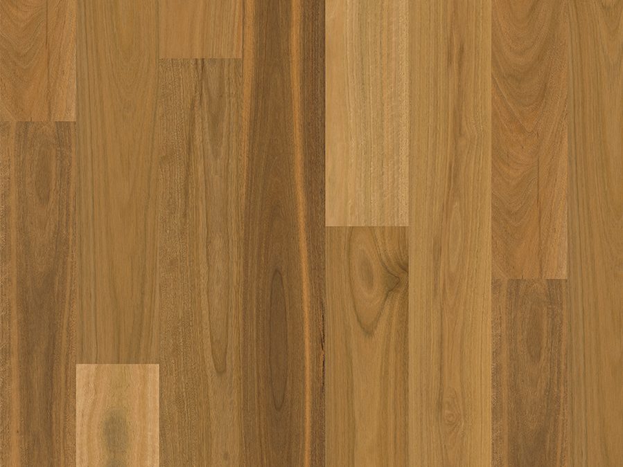 Matt Brushed Spotted Gum