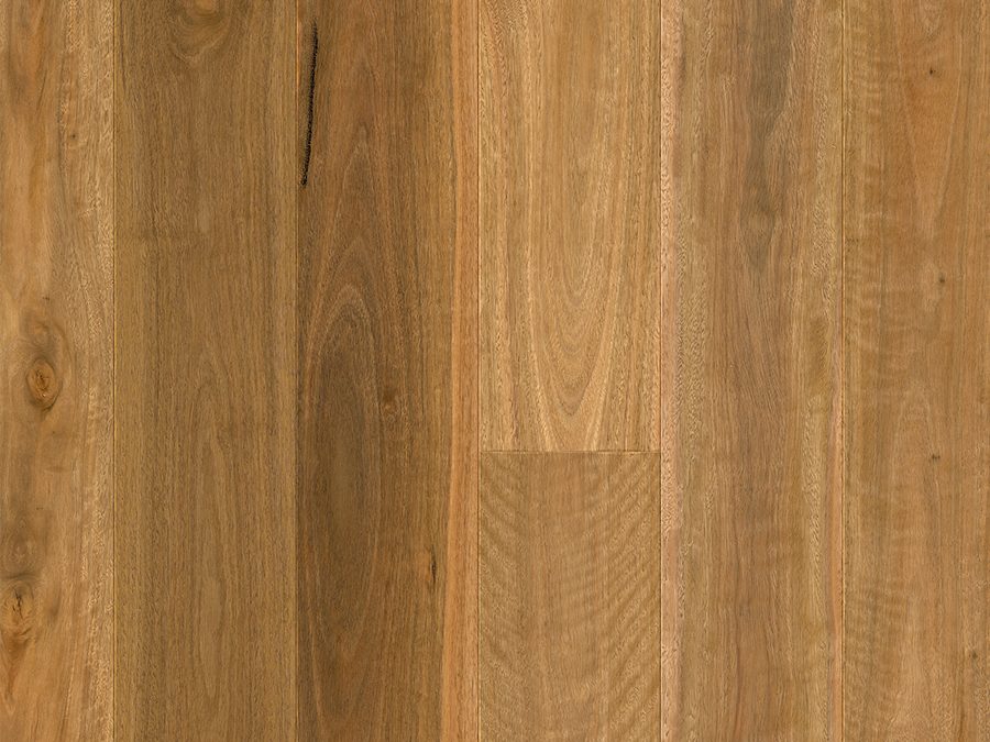 Matt Brushed Spotted Gum